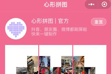 PINS图2