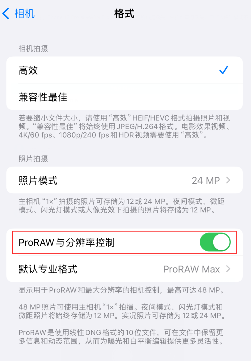 如何在 iPhone 15 Pro 系列机型中设置 Apple ProRAW 格式？