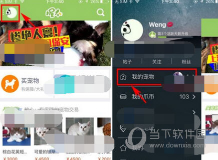 握爪宠物APP怎么添加宠物 看完你就懂了