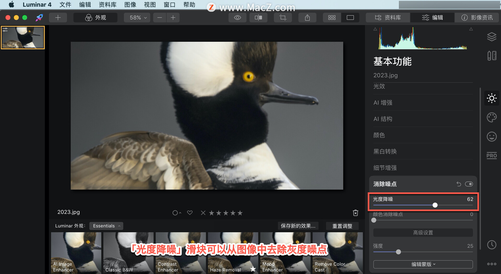 如何在 Luminar 4 中?使用消除噪点工具