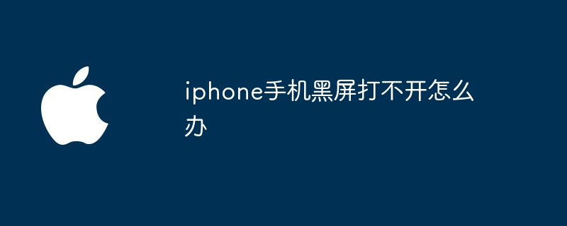 iphone手机黑屏打不开怎么办