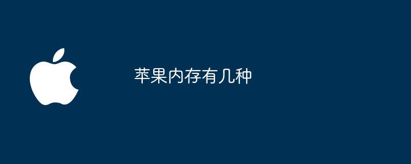 苹果内存有几种
