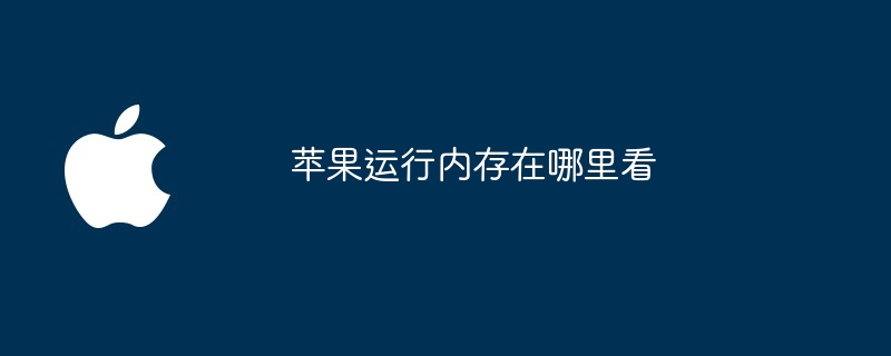 苹果运行内存在哪里看