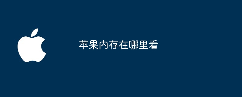 苹果内存在哪里看