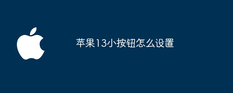 苹果13小按钮怎么设置