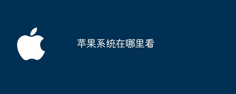 苹果系统在哪里看