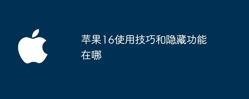 苹果16使用技巧和隐藏功能在哪