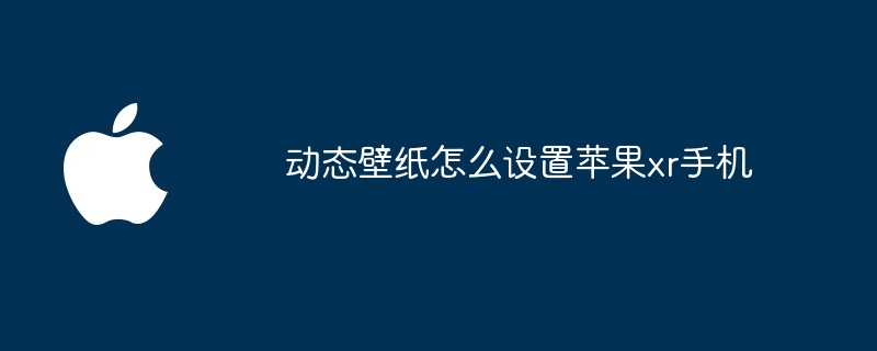 动态壁纸怎么设置苹果xr手机