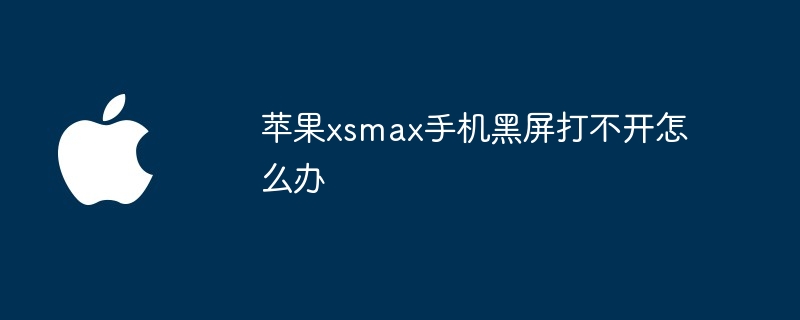 苹果xsmax手机黑屏打不开怎么办
