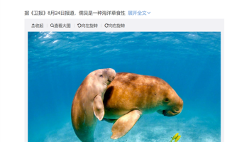 美人鱼原型在中国灭绝 网友痛心不已：原来是这外形