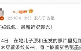 76岁“武侠影后”郑佩佩近况曝光 头发花白轮椅出行