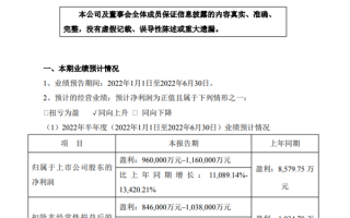 2000亿锂矿巨头天齐锂业晒业绩：上半年净利润增长超110倍