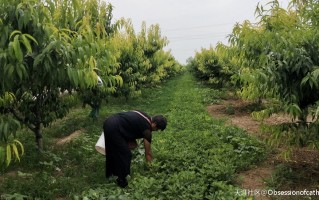 西安外国语大学英文学院分享爱志愿者队“青春聚力乡村振兴”社会调研 西安外国语大学英文学院分享爱志愿者队“青春聚力乡村振兴”社会调研