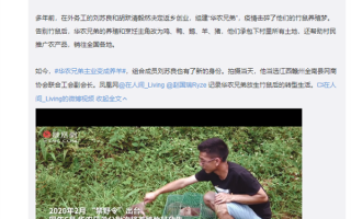 网友围观禁野2年后的华农兄弟 本人回应：坦然面对 乐观生活