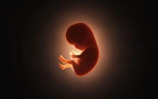 整个地球灵长类 只有人类有更年期：为什么？女人太难了