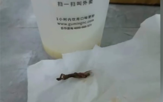 被曝喝出壁虎 古茗奶茶回应：涉事门店已停业自查