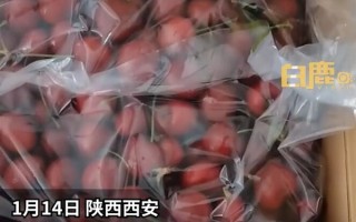 女子樱桃过敏公司年货发1箱车厘子：本来很期待公司的过年礼物