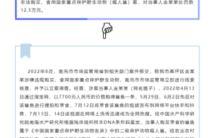 百万粉丝网红博主烹食国家二级保护动物噬人鲨：被罚12.5万