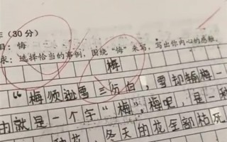 小学生满分作文跑题老师含泪打5分：把“悔”看成“梅”