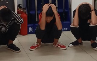 你偷我的手机,我送你一场毕生难忘的奔现。 你偷我的手机,我送你一场毕生难忘的奔现。