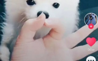 抖音爆款短视频背后的6条原理 抖音爆款短视频背后的6条原理