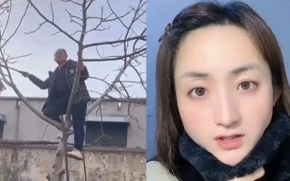山东32岁硕士女子辞掉年薪30万工作回家相亲，长相漂亮彩礼不高相亲一年未成功