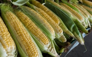 东方甄选回应下架玉米：为保品质 不能超量生产
