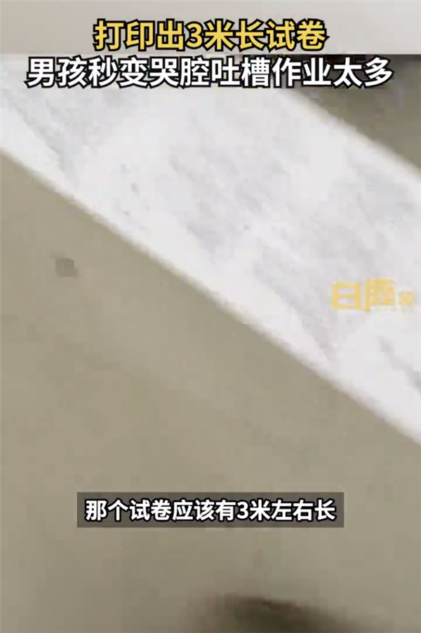 打印出3米长试卷9岁男孩秒变哭腔 这作业太多了:网友热议小学有必要吗?-第3张图片-9158手机教程网 打印出3米长试卷9岁男孩秒变哭腔 这作业太多了:网友热议小学有必要吗?-第3张图片-9158手机教程网