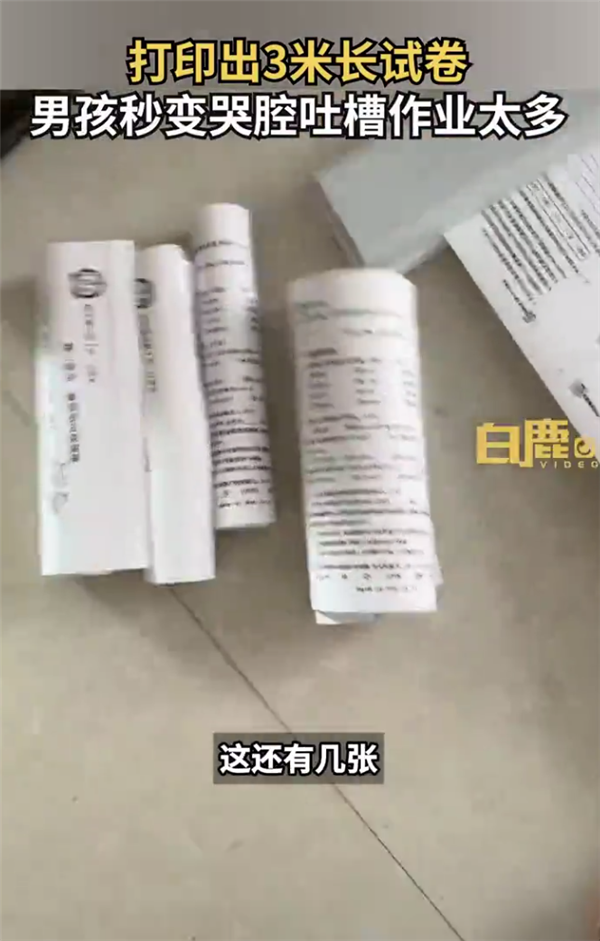 打印出3米长试卷9岁男孩秒变哭腔 这作业太多了:网友热议小学有必要吗?-第1张图片-9158手机教程网 打印出3米长试卷9岁男孩秒变哭腔 这作业太多了:网友热议小学有必要吗?-第1张图片-9158手机教程网