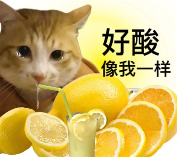今天让孙悟空穿西装 百度明天要干啥?我想都不敢想-第12张图片-9158手机教程网 今天让孙悟空穿西装 百度明天要干啥?我想都不敢想-第12张图片-9158手机教程网