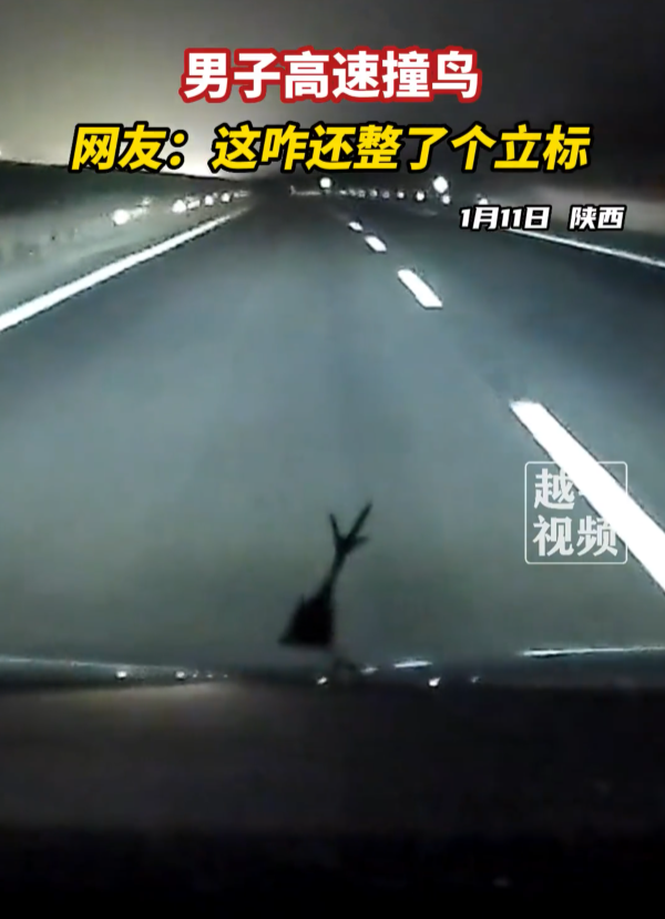 男子高速撞鸟 鸟腿成三叉戟立标 丰田秒变“玛莎拉蒂”-第1张图片-9158手机教程网 男子高速撞鸟 鸟腿成三叉戟立标 丰田秒变“玛莎拉蒂”-第1张图片-9158手机教程网