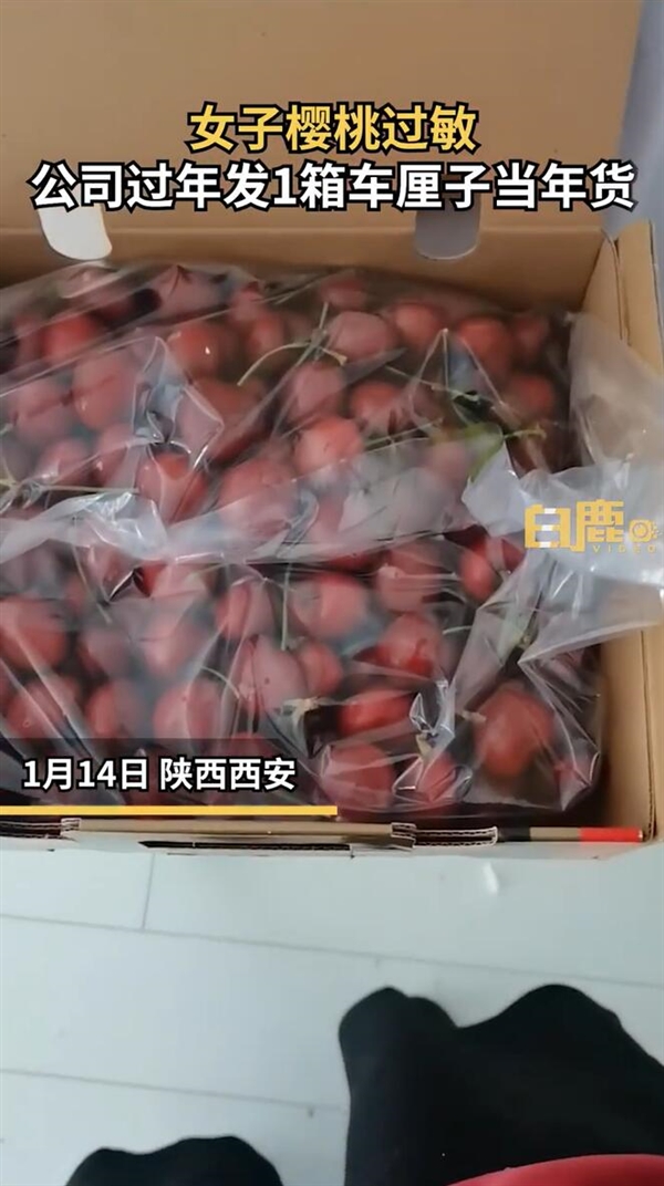 女子樱桃过敏公司年货发1箱车厘子:本来很期待公司的过年礼物-第1张图片-9158手机教程网 女子樱桃过敏公司年货发1箱车厘子:本来很期待公司的过年礼物-第1张图片-9158手机教程网