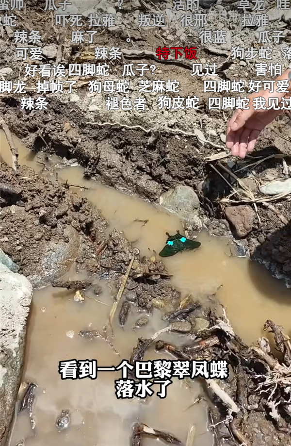 B站百大UP主名单出来后 为什么有人不同意?-第17张图片-9158手机教程网 B站百大UP主名单出来后 为什么有人不同意?-第17张图片-9158手机教程网