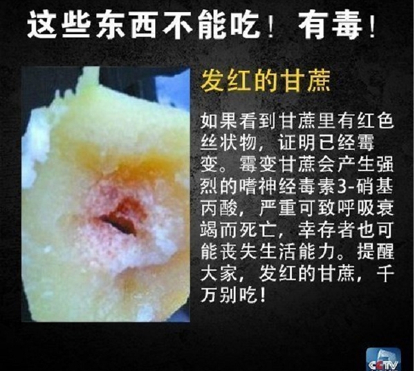网友在山姆买到剧毒蓝环章鱼 央视科普:这几样常见食物也不能吃-第2张图片-9158手机教程网 网友在山姆买到剧毒蓝环章鱼 央视科普:这几样常见食物也不能吃-第2张图片-9158手机教程网