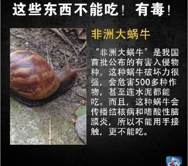 网友在山姆买到剧毒蓝环章鱼 央视科普:这几样常见食物也不能吃-第8张图片-9158手机教程网 网友在山姆买到剧毒蓝环章鱼 央视科普:这几样常见食物也不能吃-第8张图片-9158手机教程网