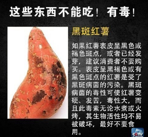 网友在山姆买到剧毒蓝环章鱼 央视科普:这几样常见食物也不能吃-第4张图片-9158手机教程网 网友在山姆买到剧毒蓝环章鱼 央视科普:这几样常见食物也不能吃-第4张图片-9158手机教程网