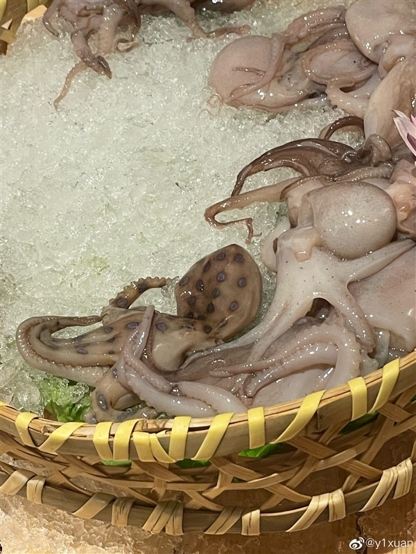 网友在山姆买到剧毒蓝环章鱼 央视科普:这几样常见食物也不能吃-第1张图片-9158手机教程网 网友在山姆买到剧毒蓝环章鱼 央视科普:这几样常见食物也不能吃-第1张图片-9158手机教程网