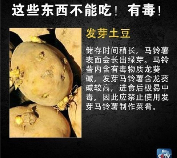 网友在山姆买到剧毒蓝环章鱼 央视科普:这几样常见食物也不能吃-第5张图片-9158手机教程网 网友在山姆买到剧毒蓝环章鱼 央视科普:这几样常见食物也不能吃-第5张图片-9158手机教程网