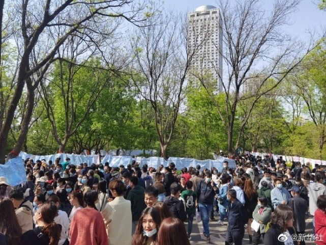 初婚人数首次跌破1200万人,8年下降了51.5%,单身群体日益扩大-第3张图片-9158手机教程网 初婚人数首次跌破1200万人,8年下降了51.5%,单身群体日益扩大-第3张图片-9158手机教程网