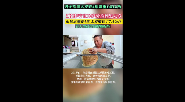 赚大！男子捡黑太岁养4年增重14斤8两 科普太岁到底是啥-第1张图片-9158手机教程网