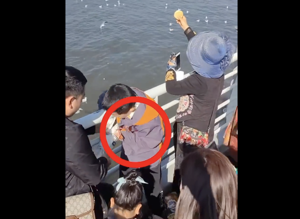 父母帮小男孩抓海鸥强行塞进塑料瓶 网友:熊孩子一定拥有熊家长-第1张图片-9158手机教程网 父母帮小男孩抓海鸥强行塞进塑料瓶 网友:熊孩子一定拥有熊家长-第1张图片-9158手机教程网