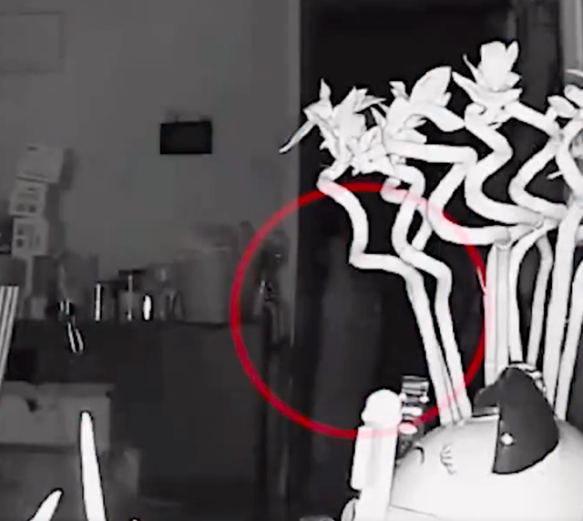 警方调查宠物狗被邻居砍杀案 涉事人称为自保连砍十几刀-第2张图片-9158手机教程网 警方调查宠物狗被邻居砍杀案 涉事人称为自保连砍十几刀-第2张图片-9158手机教程网