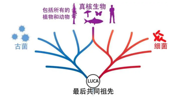 地球最黑暗的时刻:被狂轰滥炸长达2000万年-第8张图片-9158手机教程网 地球最黑暗的时刻:被狂轰滥炸长达2000万年-第8张图片-9158手机教程网