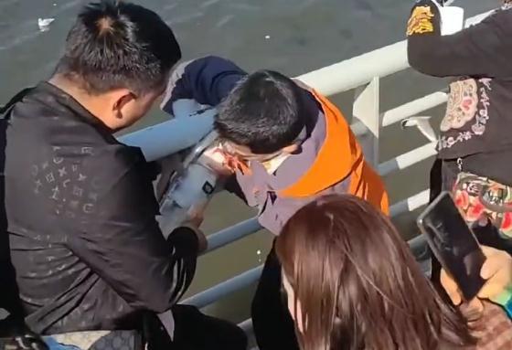 警方回应父母帮男孩抓海鸥塞瓶子:已联系涉事人员,处罚由林草大队裁定-第2张图片-9158手机教程网 警方回应父母帮男孩抓海鸥塞瓶子:已联系涉事人员,处罚由林草大队裁定-第2张图片-9158手机教程网