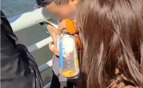 警方回应父母帮男孩抓海鸥塞瓶子:已联系涉事人员,处罚由林草大队裁定-第3张图片-9158手机教程网 警方回应父母帮男孩抓海鸥塞瓶子:已联系涉事人员,处罚由林草大队裁定-第3张图片-9158手机教程网