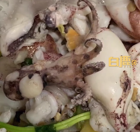 比眼镜蛇还毒50倍!女子买到蓝环章鱼险食用 反复辨认后扔了-第1张图片-9158手机教程网 比眼镜蛇还毒50倍!女子买到蓝环章鱼险食用 反复辨认后扔了-第1张图片-9158手机教程网