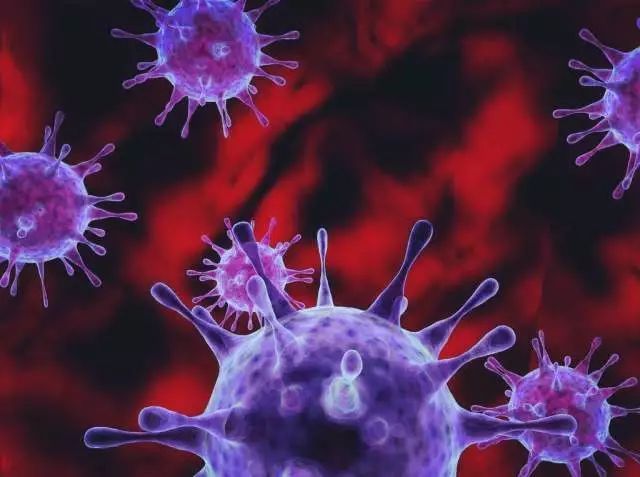 所有人都易感重复感染!诺如病毒高发期:一人中招全家倒霉-第1张图片-9158手机教程网 所有人都易感重复感染!诺如病毒高发期:一人中招全家倒霉-第1张图片-9158手机教程网