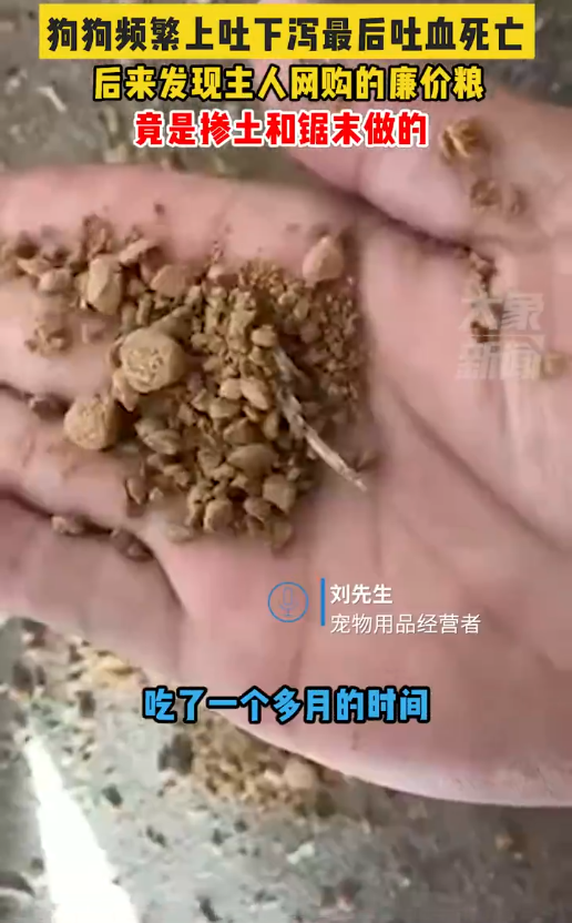 狗主人买廉价狗粮竟掺土和锯末致死亡:频繁呕吐拉稀便秘,最后吐血死亡-第1张图片-9158手机教程网 狗主人买廉价狗粮竟掺土和锯末致死亡:频繁呕吐拉稀便秘,最后吐血死亡-第1张图片-9158手机教程网