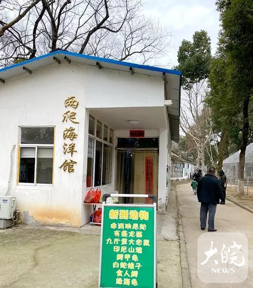 “九斤重大老鼠” 身份查清了 实为海狸鼠最大体长29厘米-第1张图片-9158手机教程网 “九斤重大老鼠” 身份查清了 实为海狸鼠最大体长29厘米-第1张图片-9158手机教程网