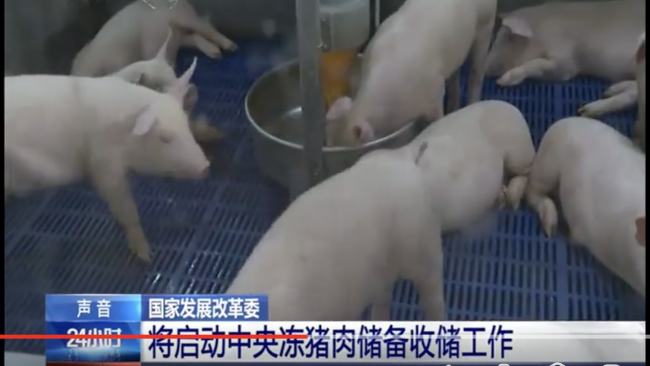 国家出手了!发改委启动中央冻猪肉收储,猪价4月迎拐点?发布一级预警-第1张图片-9158手机教程网 国家出手了!发改委启动中央冻猪肉收储,猪价4月迎拐点?发布一级预警-第1张图片-9158手机教程网
